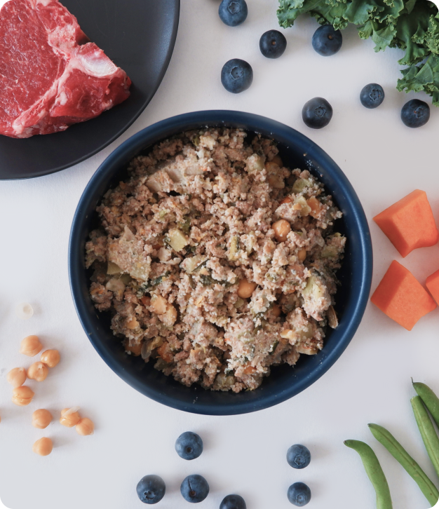 Kabo Fresh Dog Food Sample Box